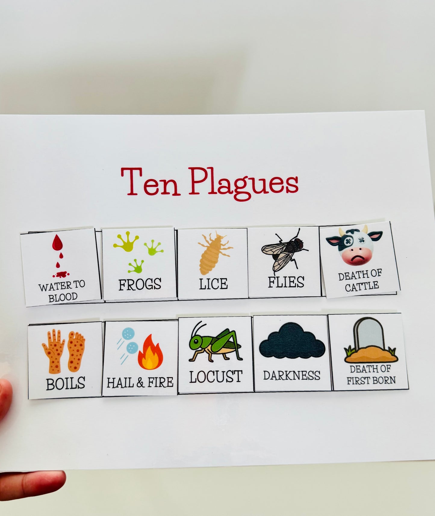 Bible Basics Flashcards