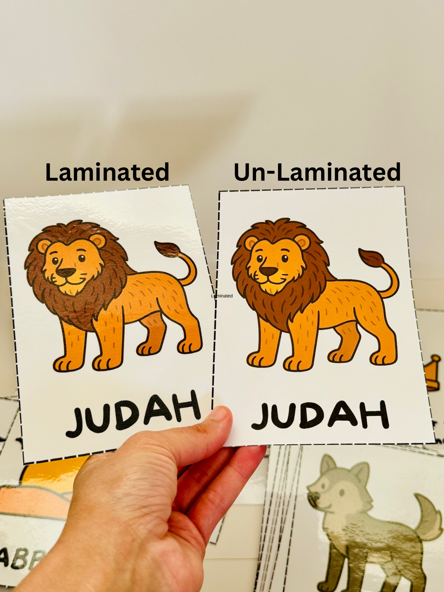 Bible Basics Flashcards
