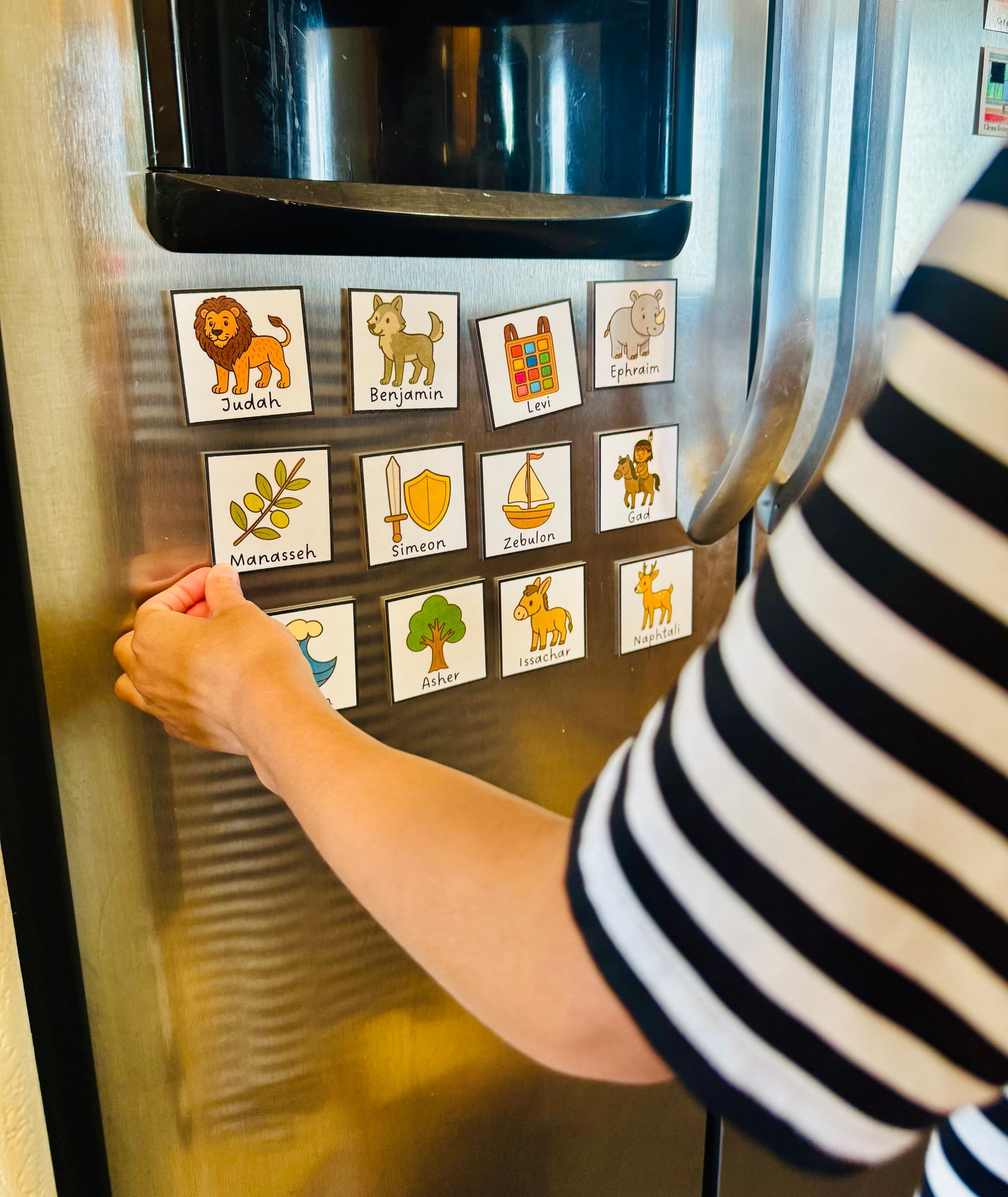 12 Tribes of Israel Fridge Flashcard Magnets
