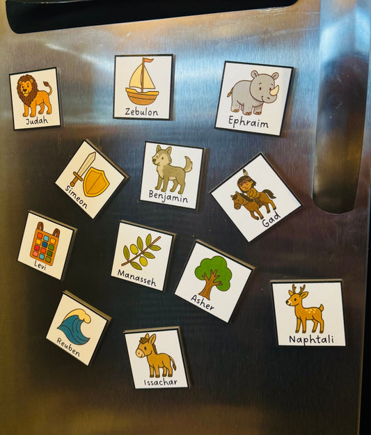 12 Tribes of Israel Fridge Flashcard Magnets