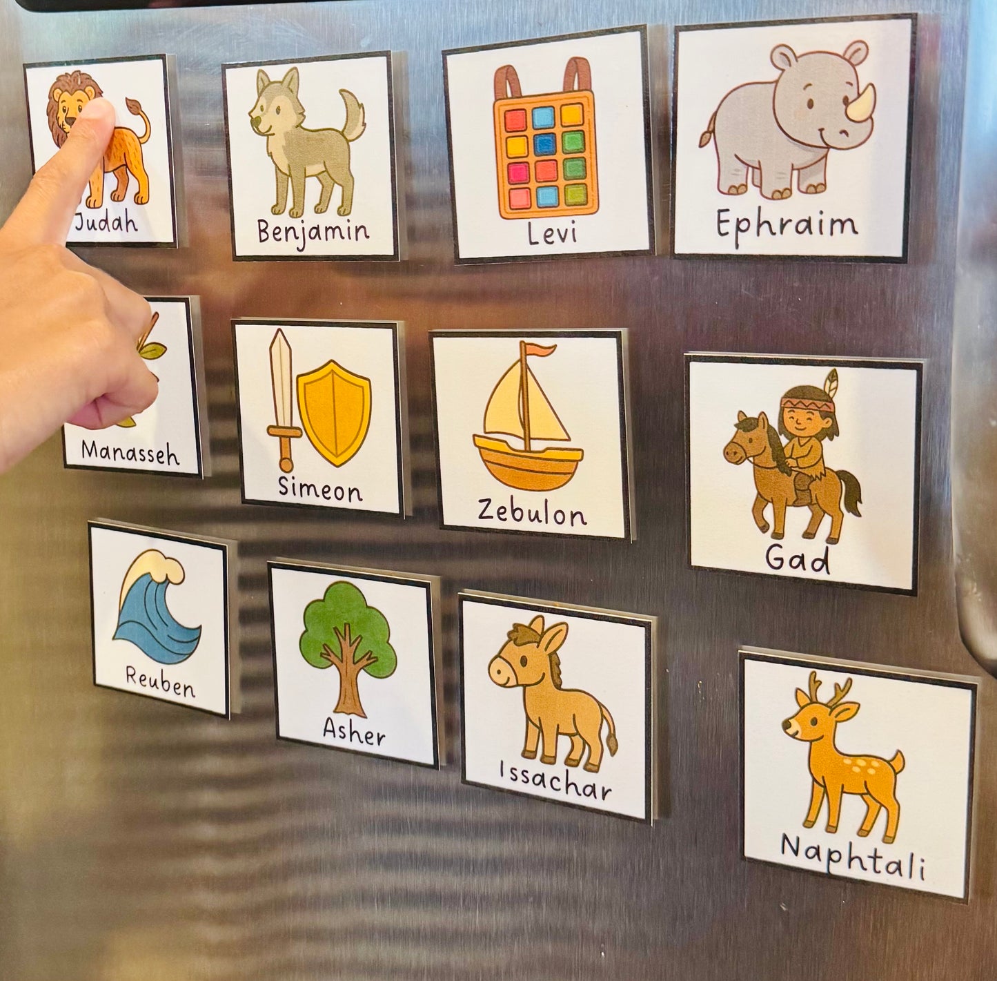 12 Tribes of Israel Fridge Flashcard Magnets
