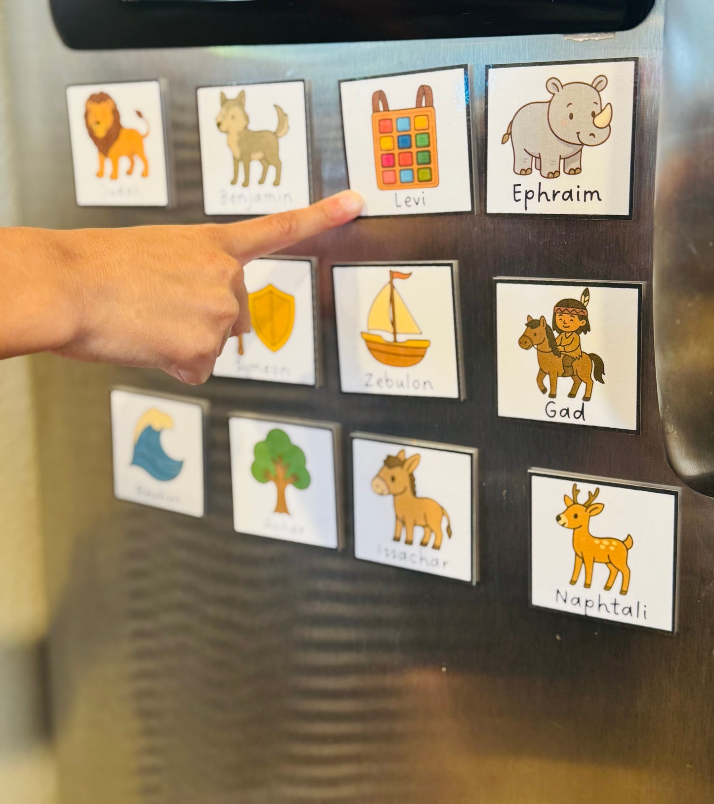 12 Tribes of Israel Fridge Flashcard Magnets