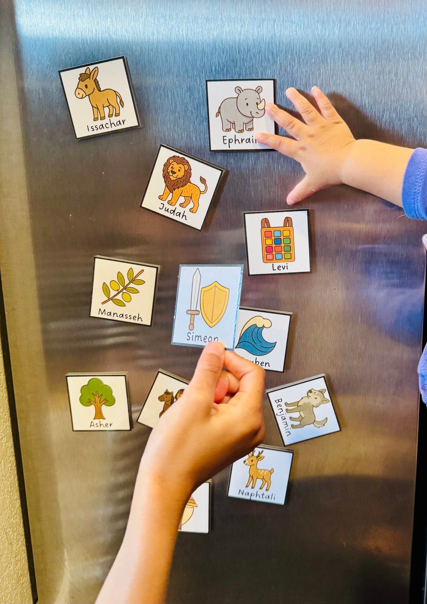12 Tribes of Israel Fridge Flashcard Magnets