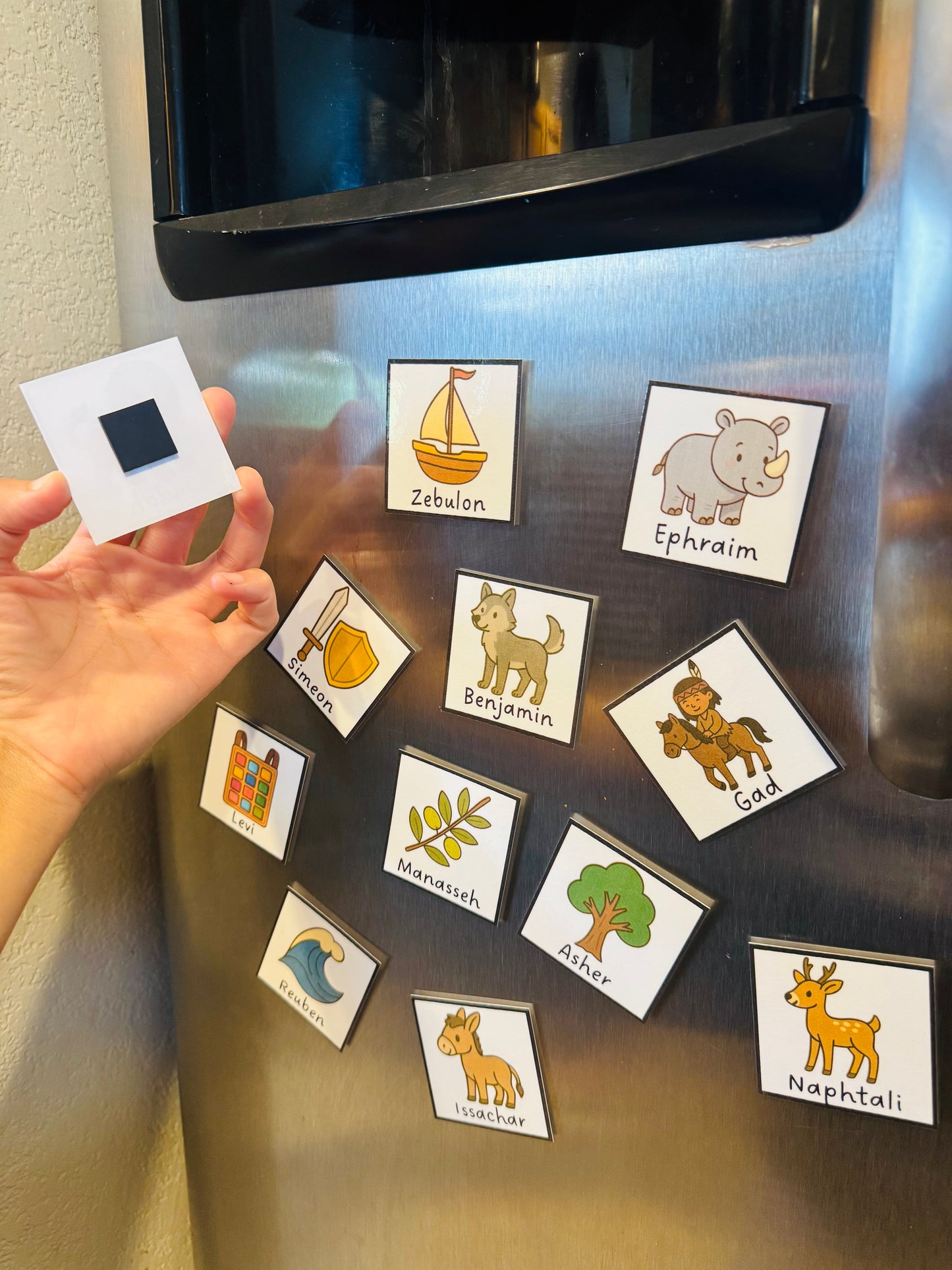 12 Tribes of Israel Fridge Flashcard Magnets
